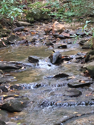 Webinar Preview Image