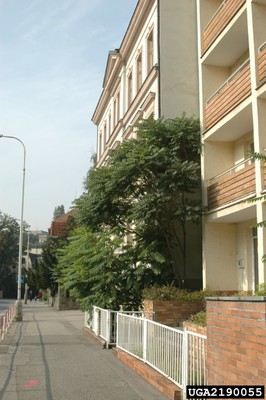 WarnellLunchtimeseriesThursday