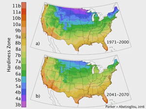 Webinar Preview Image