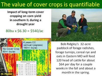 Cover Crop Economics image