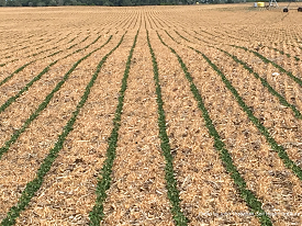 Webinar Preview Image