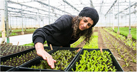 Webinar Preview Image