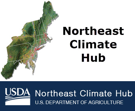 Webinar Sponsor Image