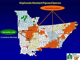 Webinar Preview Image