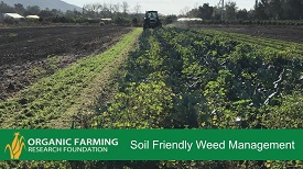 Webinar Preview Image