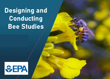 Webinar Preview Image