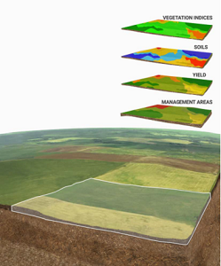 Webinar Preview Image