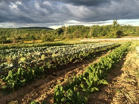 Webinar Preview Image