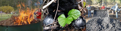 Biochar Image