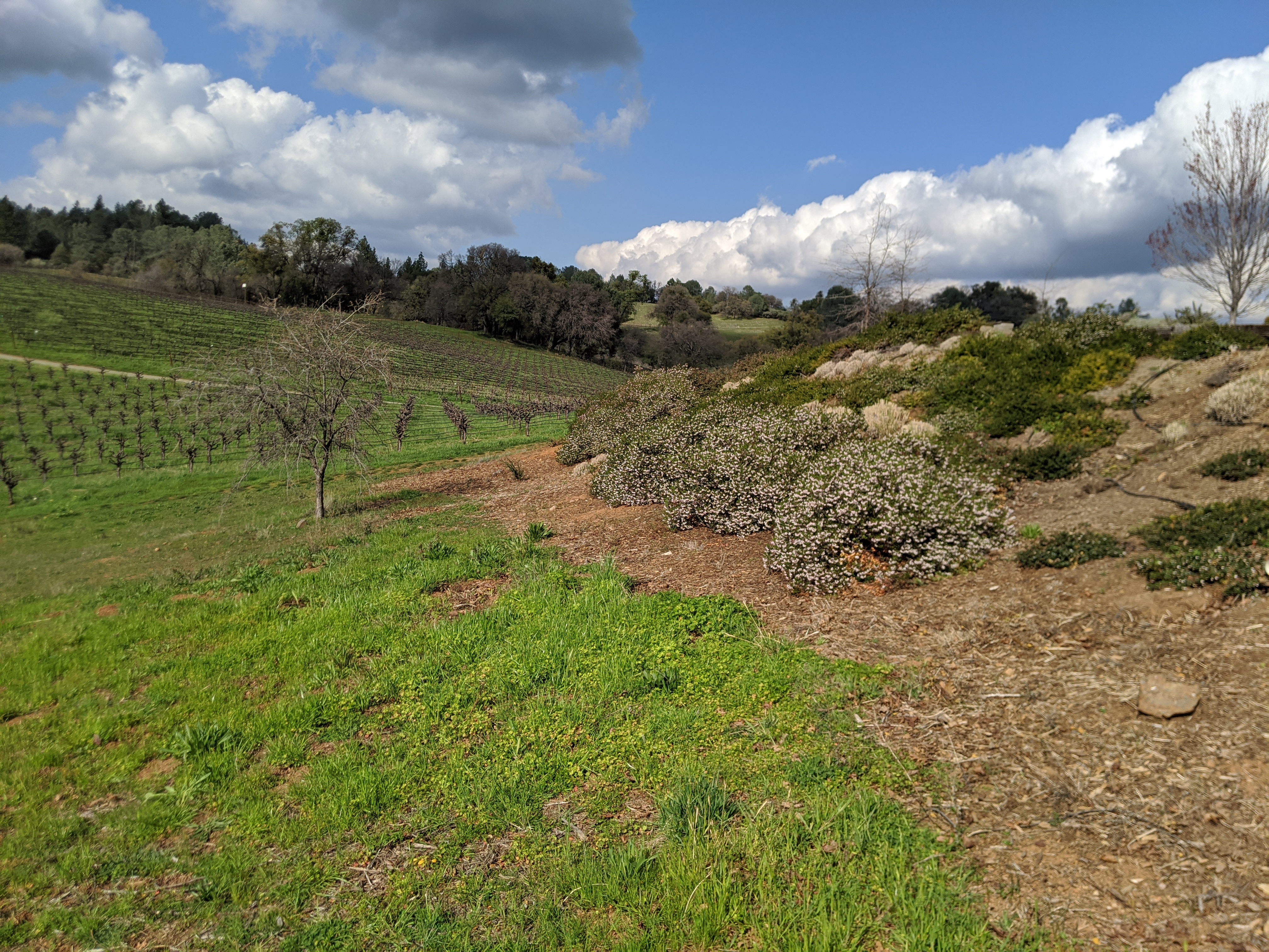 Webinar Preview Image