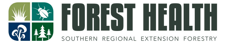 Webinar Sponsor Image