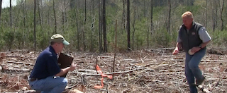 Webinar Preview Image