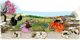 Webinar Preview Image