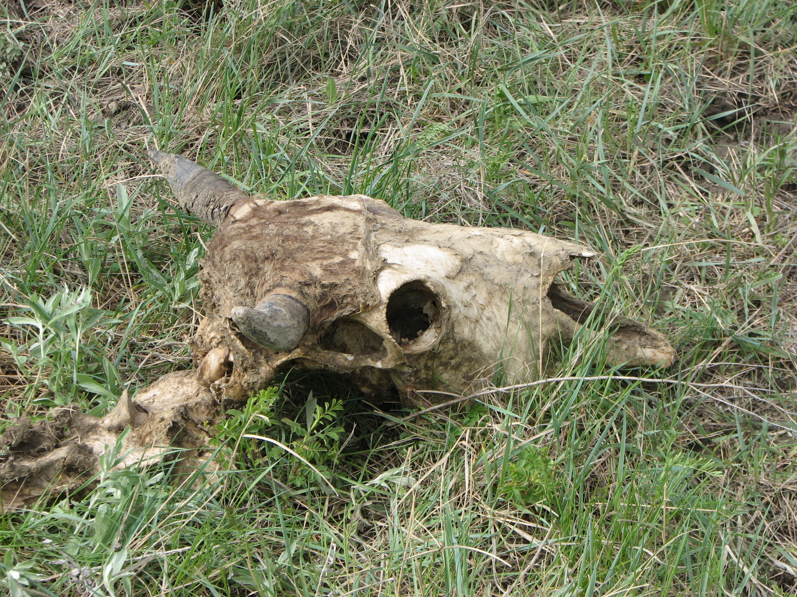 Webinar Preview Image