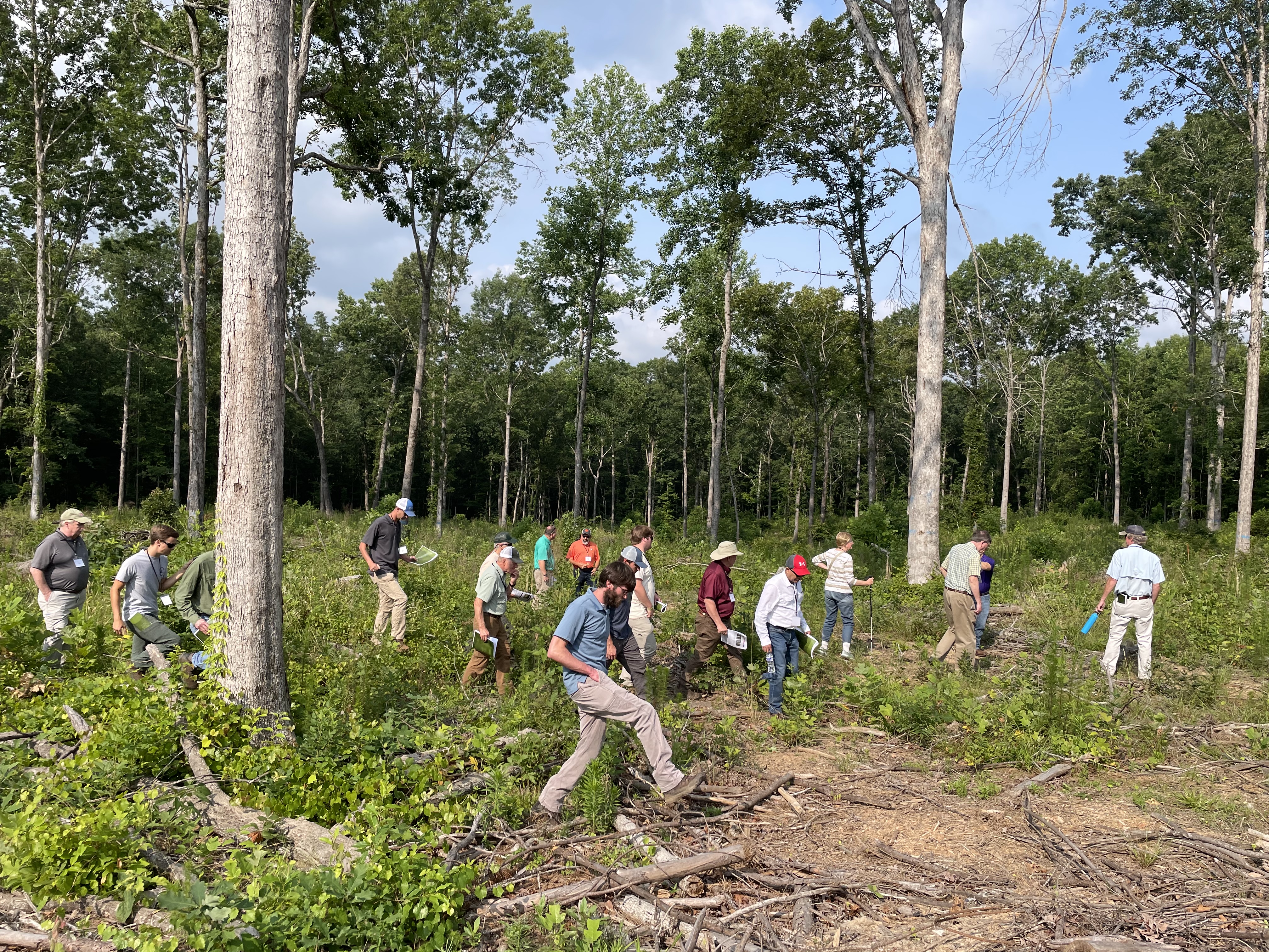 Webinar Preview Image