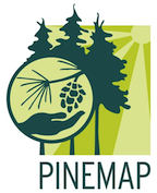 Webinar Preview Image