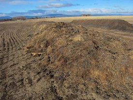 Webinar Preview Image