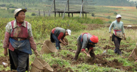 Webinar Preview Image