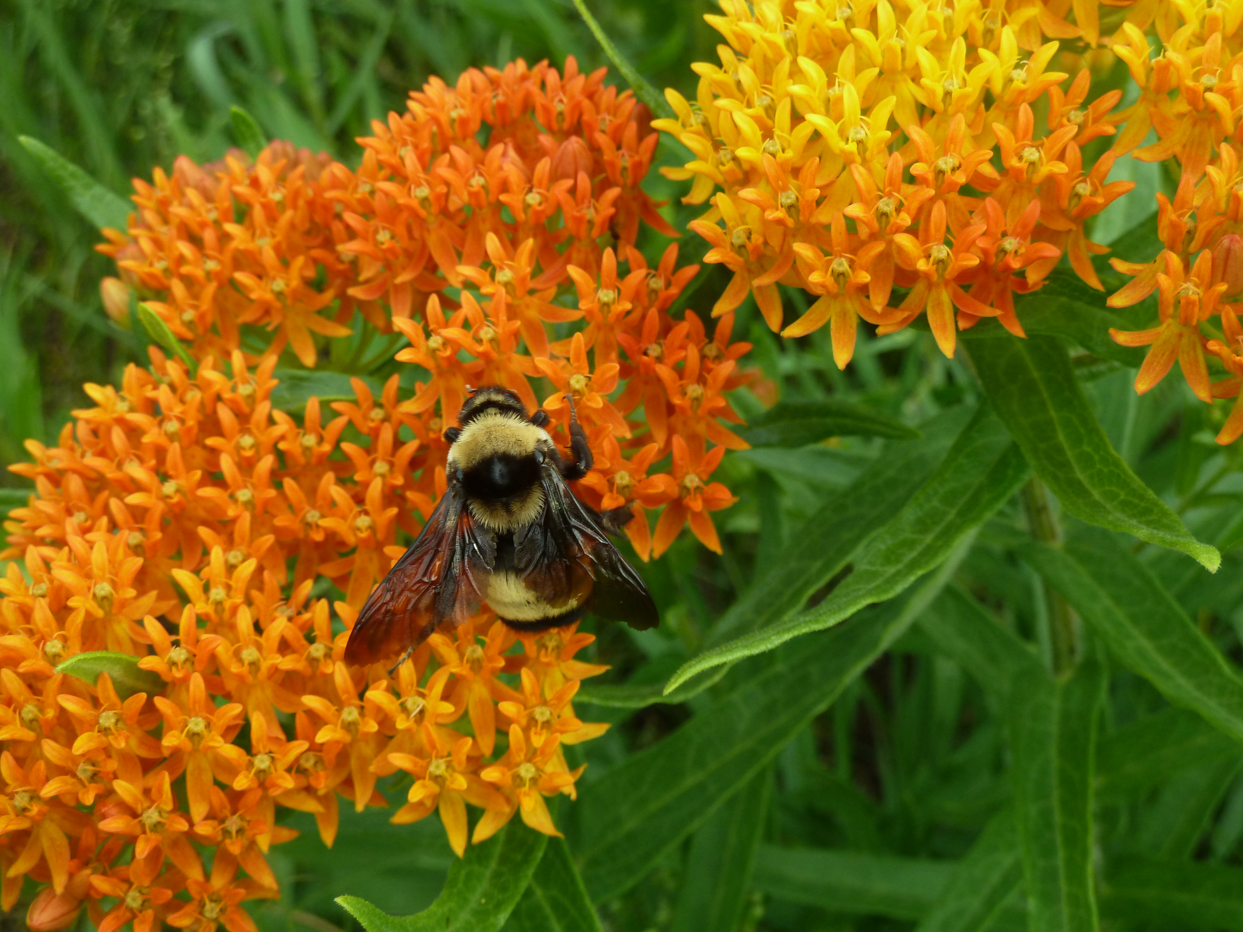 Webinar Preview Image