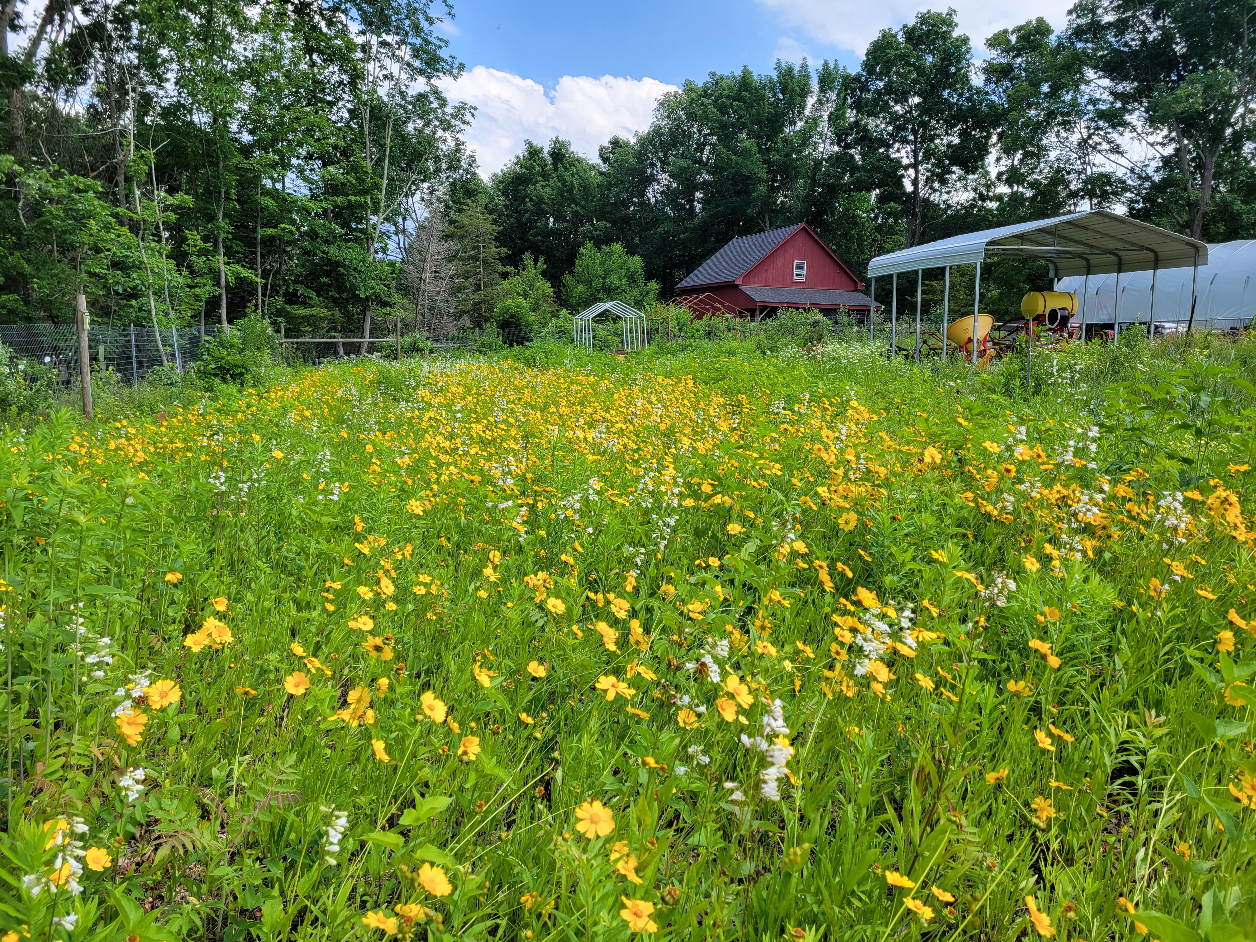 Webinar Preview Image