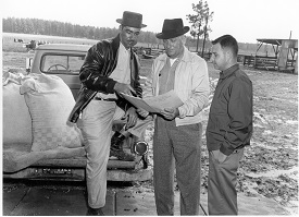 Webinar Preview Image