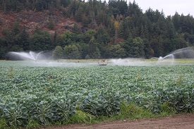 Webinar Preview Image