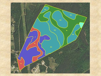 Conservation TreeShrub Groups image