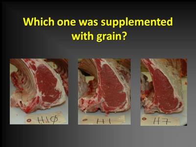 Grass-fed Beef image