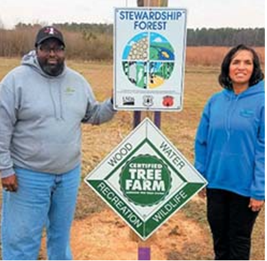 Webinar Preview Image