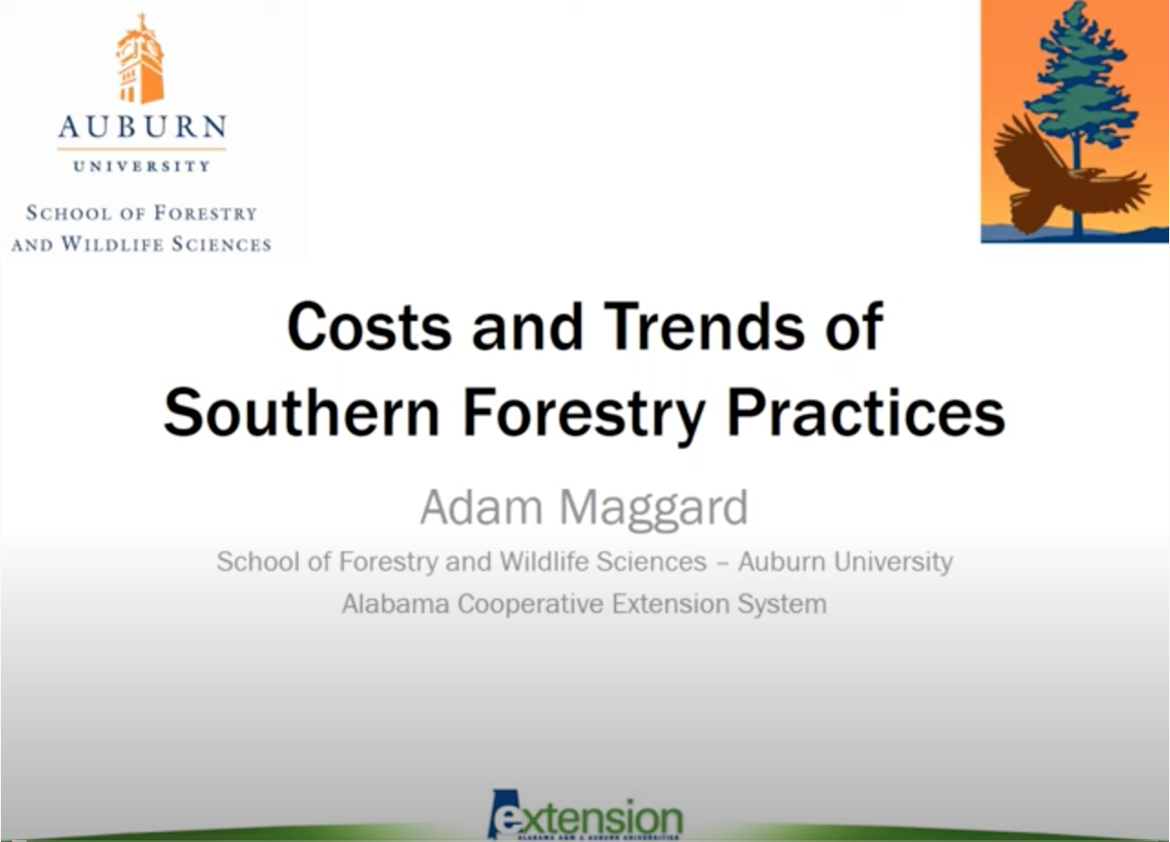 Webinar Preview Image