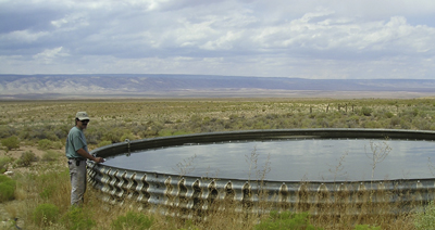 Safe Water for Wildlife image