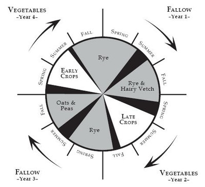 Crop Rotations Diversified Farms image