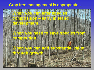 Crop Tree Management