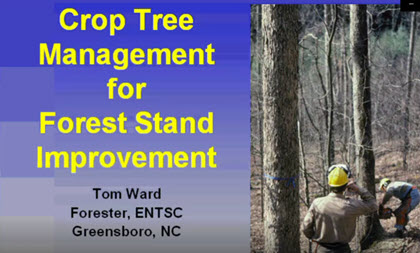 Webinar Preview Image