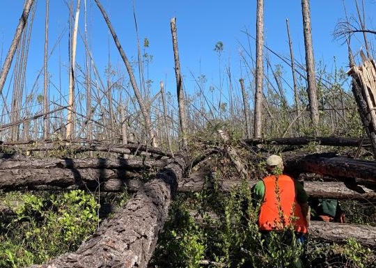 Webinar Preview Image