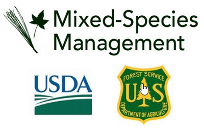 Webinar Preview Image