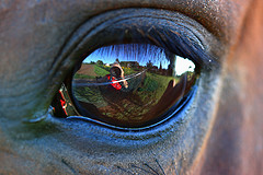 Webinar Preview Image