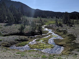 Webinar Preview Image