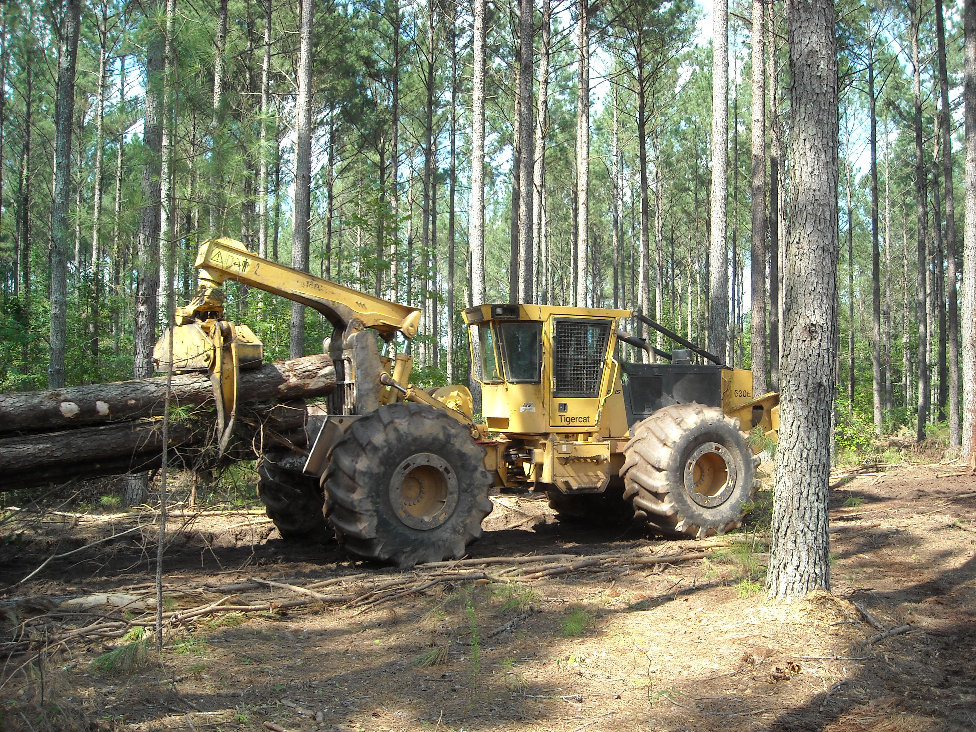 Georgia Forestry BMP Oversight and Statewide Survey Results - 2026 Update