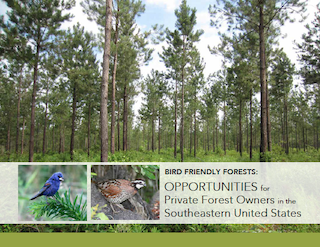 Webinar Preview Image