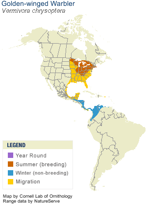 Golden-winged Warbler range map