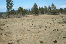 Webinar Preview Image