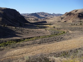 Webinar Preview Image