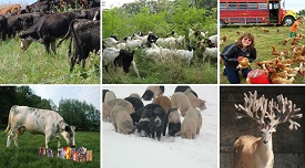 Webinar Preview Image