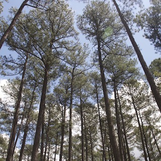 Webinar Preview Image