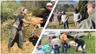 Webinar Preview Image