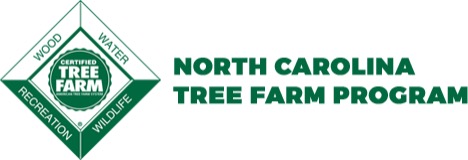 Webinar Sponsor Image