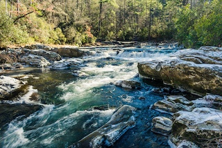 Webinar Preview Image