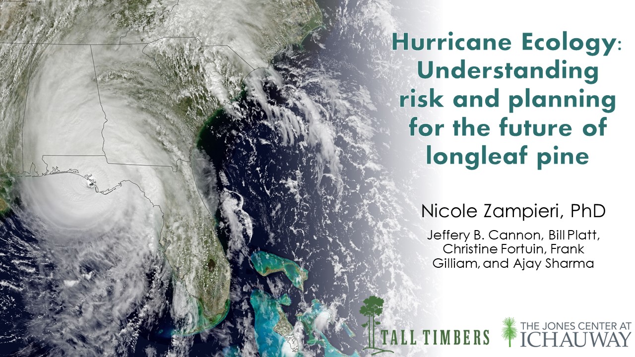 Webinar Preview Image