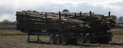 Webinar Preview Image